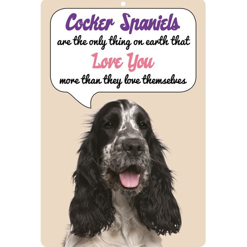Blue roan cocker spaniel dog - roan,