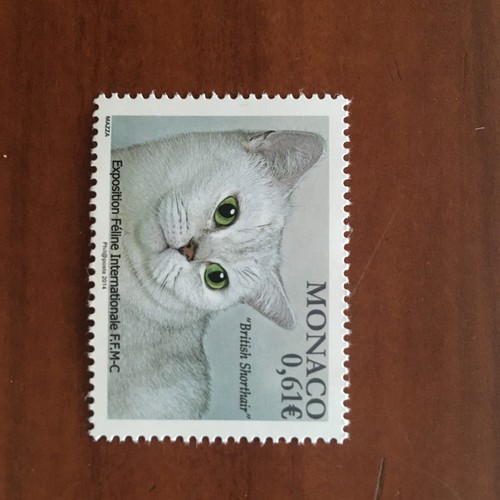 Monaco num 2910 mnh gatto - monaco,