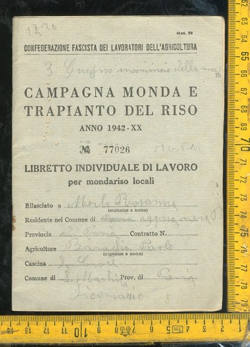 San martino siccomario pavia - martino,