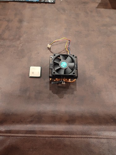Cpu amd 6300 con - cpu,