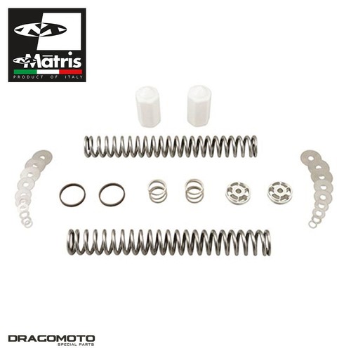 Kit forcella kawasaki 1000 - forcella,