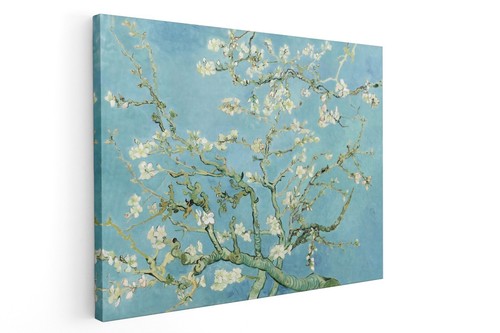 Quadro van gogh - van, di