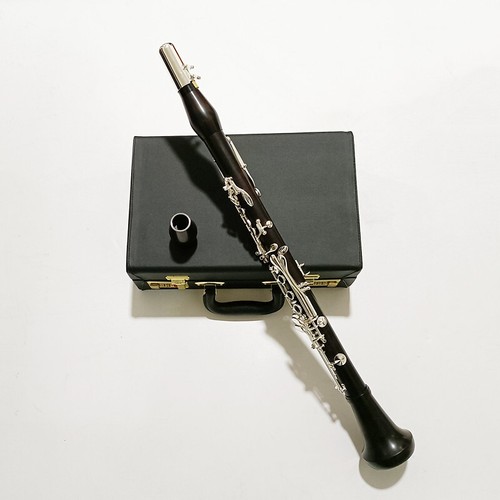 Clarinetto tasti - clarinetto, bb