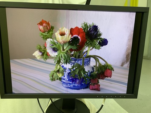 Eizo coloredge cg247 24 - cg247, 24"