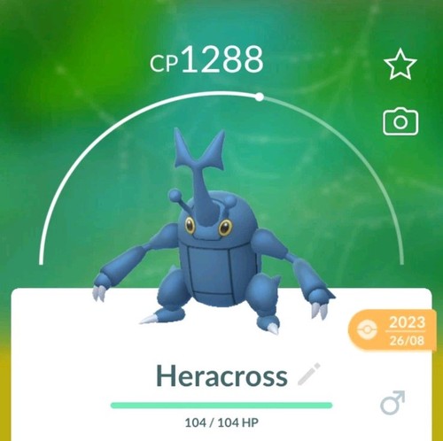 Pokémon heracross nuovo - pokémon, go/heracross/nuovo