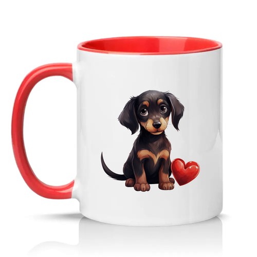 Cute dachshund puppy - cute,