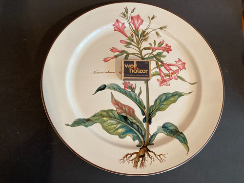 Villeroy boch botanica - &,