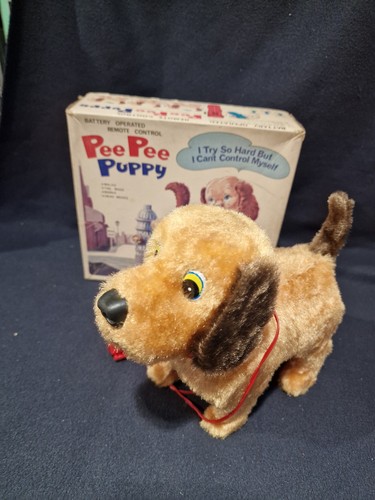 Nomura pee puppy cucciolo - puppy,