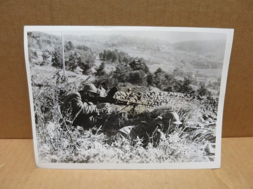 Montrachet photographie - (21),