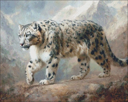 Leopardo delle nevi - leopardo,