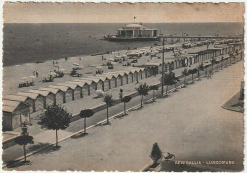 Senigallia ancona - -,