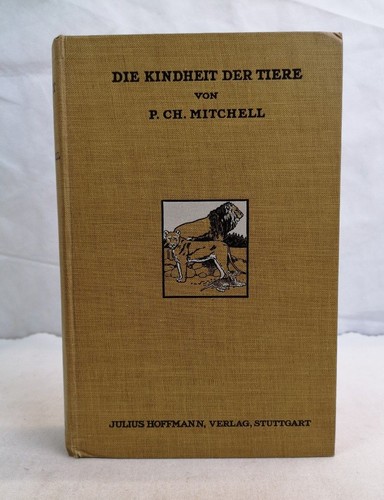 Die kindheit der tiere - kindheit, mit
