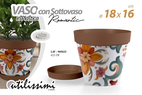 Vaso piante grasse - piante, semi