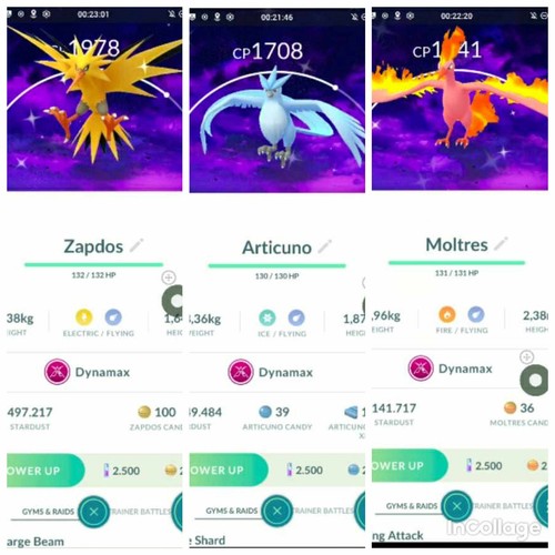 Pokémon combo shiny moltres - pokémon, 3