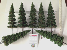 ALBERI TORRENTE OOSE - Alberi