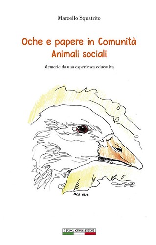 Oche papere comunità - e,