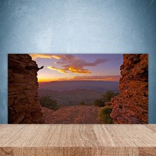 Paraschizzi da Cucina 100x50