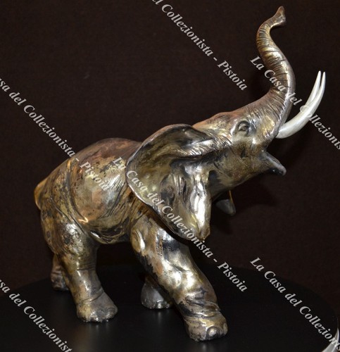 Elefante terracotta - elefante,