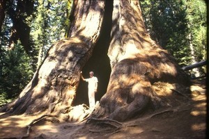 C1960 35mm slide - c1960's,
