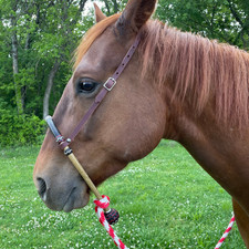 40Plait Braided Bosal, Natural