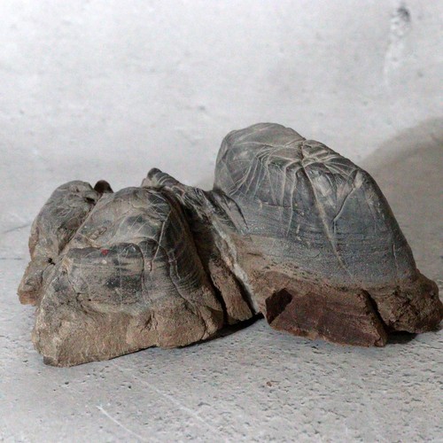 Pietra giapponese suiseki - pietra,