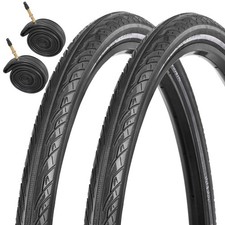 Cinghia forata Nutrak Zilent