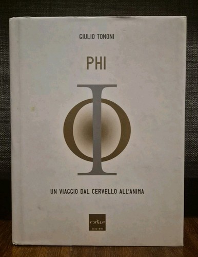 Tononi phi codice - phi,