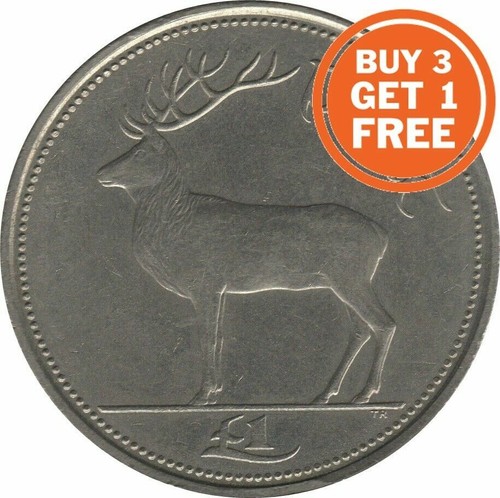 Irlanda one pound - irlanda, punt