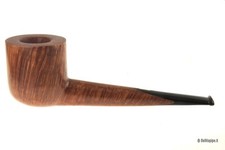 Pipa Amorelli * * * * - Dandy