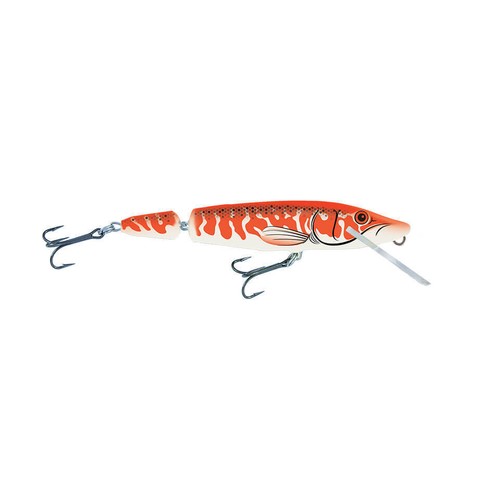 Salmo pike jointedsnodato - pike,