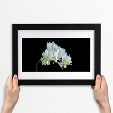 Arte da parete con cornice in