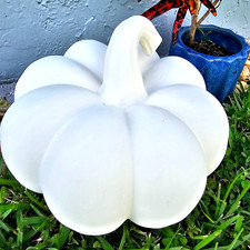 Zucca gigante 10x10" IN STOCK