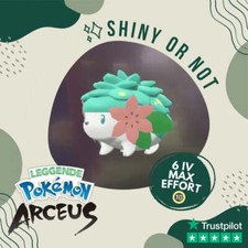 Shaymin Land Form Shiny ✨