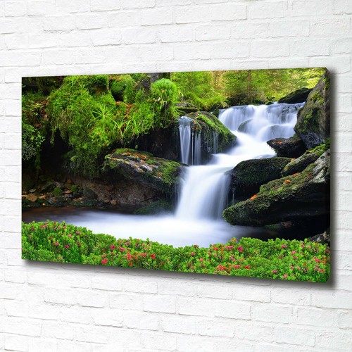 Stampa tela tulup wall art - tela,