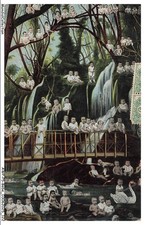 AWPP5-0374-BEBE - Bambini Nella Foresta