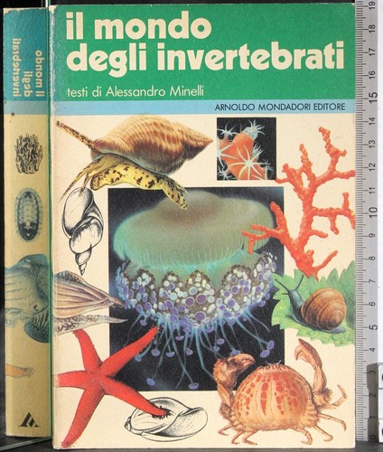 Mondo degli invertebrati - il,