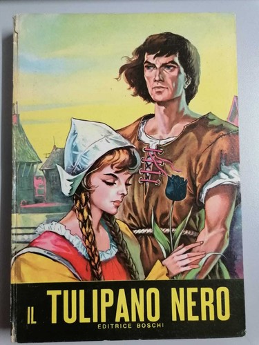 Tulipano nero dumas - tulipano, a.