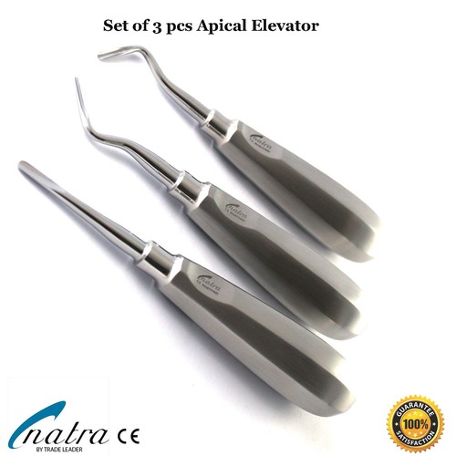Pezzi radice dentale - pezzi,