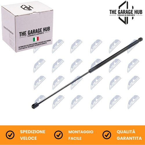 Coppia gas pistoncini - coppia,