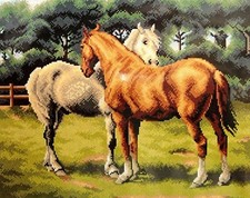 Quadro canovaccio mezzo punto - canovaccio,
