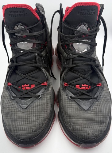 Lebron allevato taglia 15 - allevato,