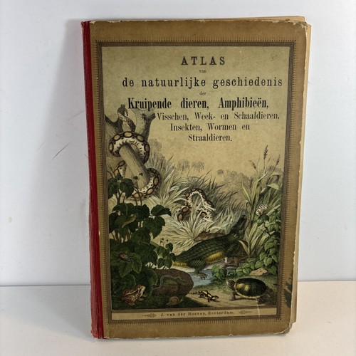 Jan van der hoeven - jan,