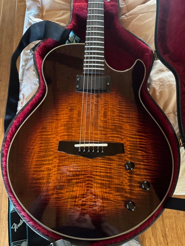 Chitarra elettrica acustica - chitarra,