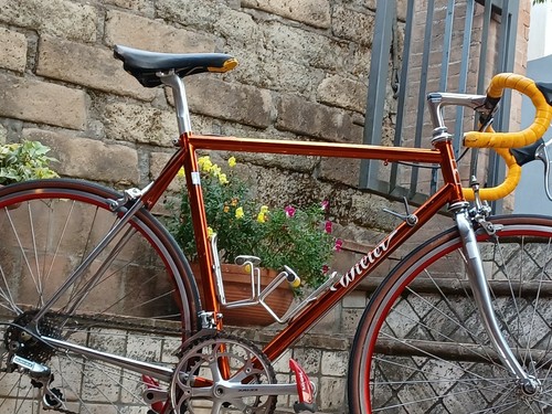 Wilier triestina ramata team - wilier,