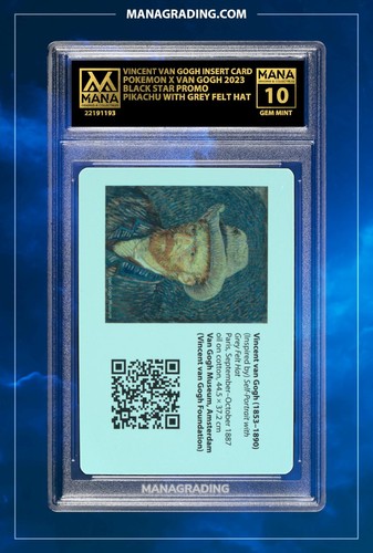 Pokemon van gogh vincent - x,