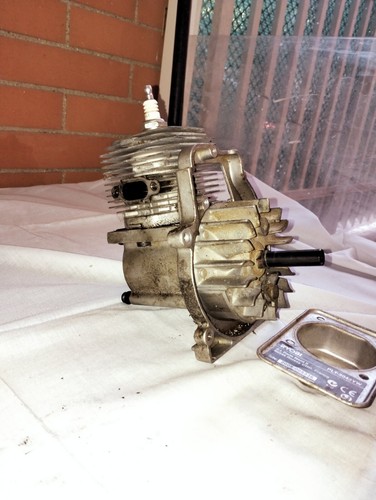 Blocco motore decespugliatore - motore,