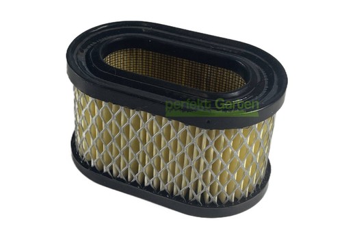 Filtro aria per motore - , briggs
