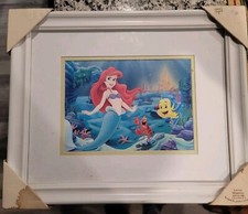 Little Mermaid Special Picture