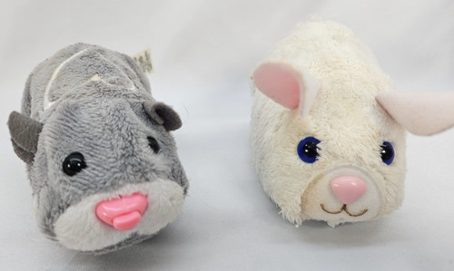 Pet criceto pezzo - criceto, +