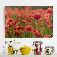 QUADRO MODERNO PAESAGGIO FIORI